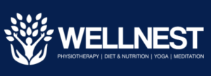 Wellnestpro-logo-300x108